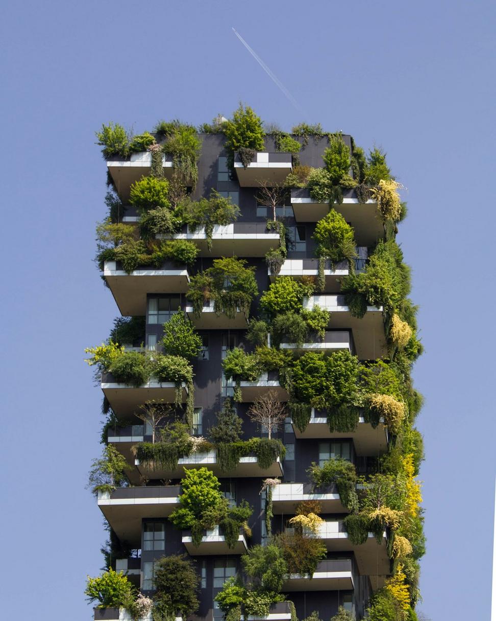 Sustainable Architecture